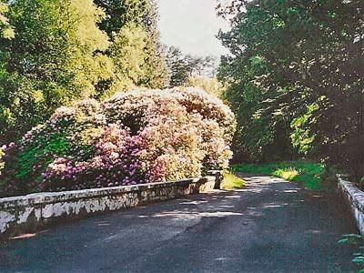Dalmellington Forget Me Not - Skkz 빌라 외부 사진